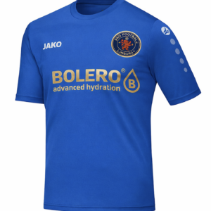 jako-shirt-blauw-spelers